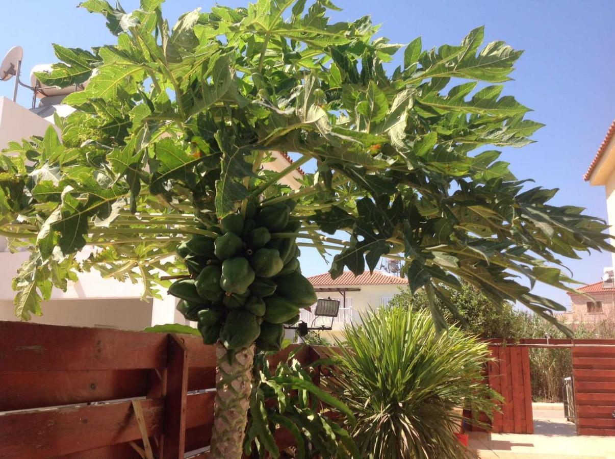 Carolyn Villa Is A Luxury 4-Bedroom Villa With Private Pool In Ayia Napa Esterno foto